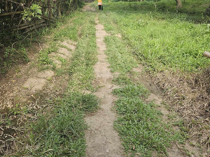 1.3 hectares Agro-Industrial Farm For Sale in Maco Davao De Oro Compostela Valley