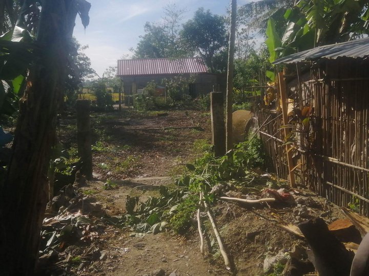 16000 sqm Residential Farm For Sale in Bugallon Pangasinan