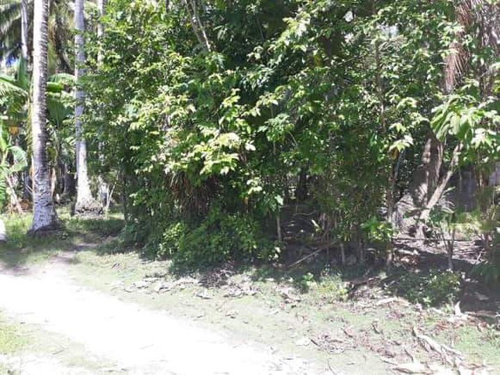 109 sqm TITLED Residential Lot Near the Beach For Sale SIARGAO