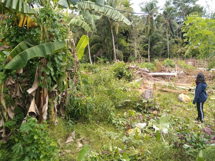 Affordable Residential Lot for sale in Quezon, Province