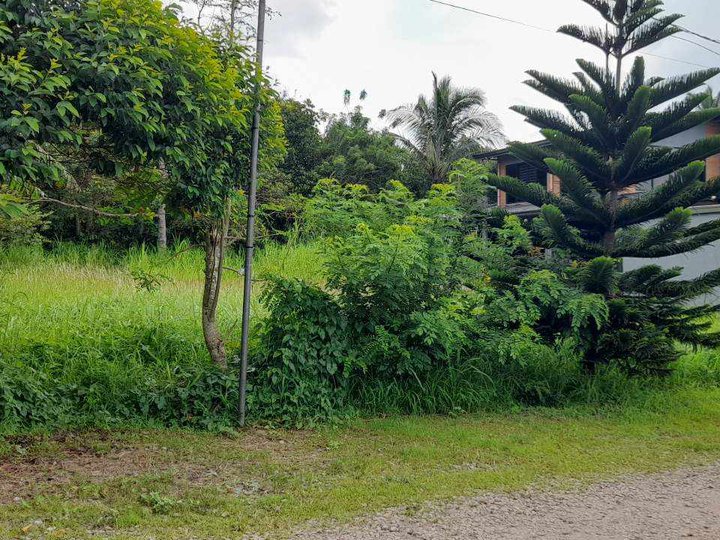 655 SQM RESIDENTIAL LOT FOR SALE IN AMADEO CAVITE