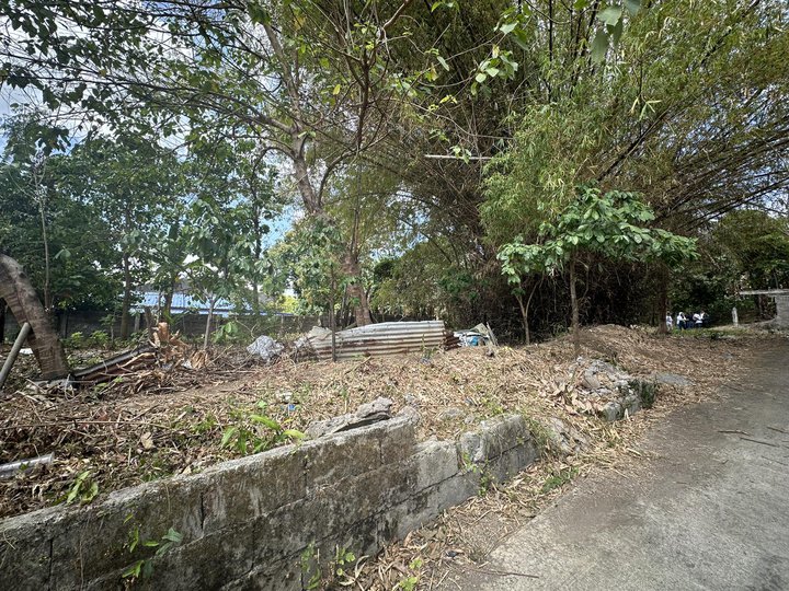 Titled Residential Lot for sale in San Pablo Laguna