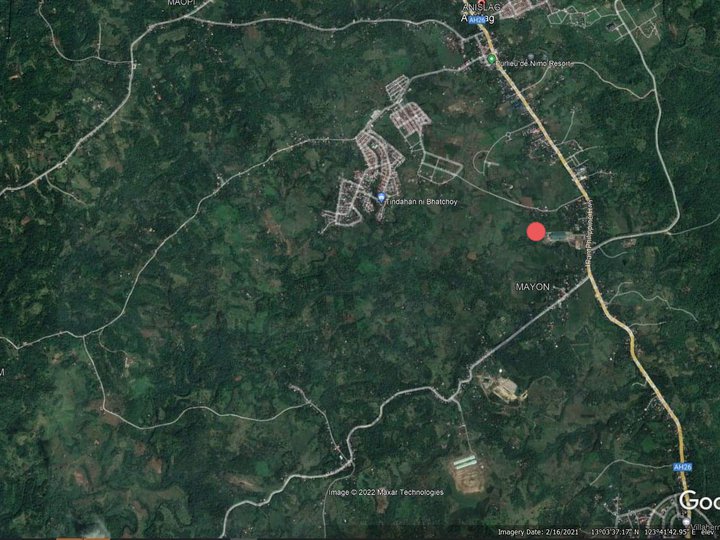 2.05 hectares Agricultural Farm For Sale in Daraga (Locsin) Albay