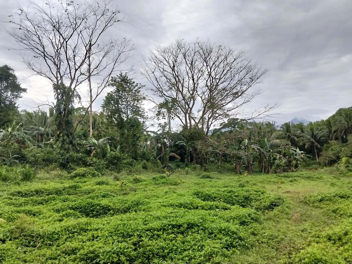 500 sqm Lot For Sale in Tayabas Quezon