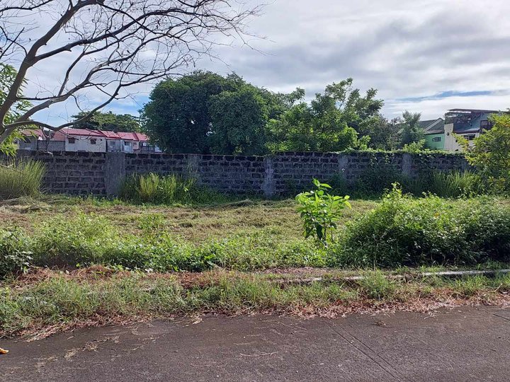 300 sqm Residential Lot For Sale in Bacoor Cavite