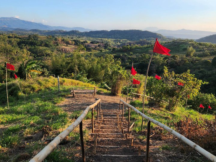 FARMLOT @ TANAY RIZAL! Overlooking Laguna Lake & Windmill View!