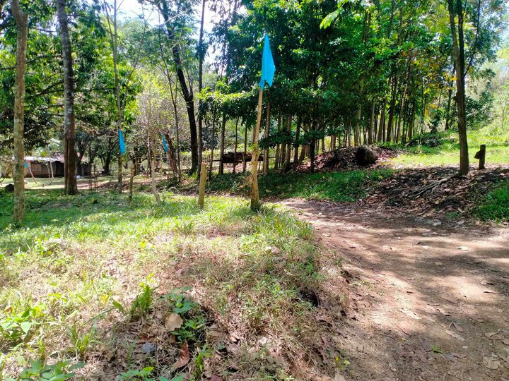 Titled Residential Lot in Morong Rizal