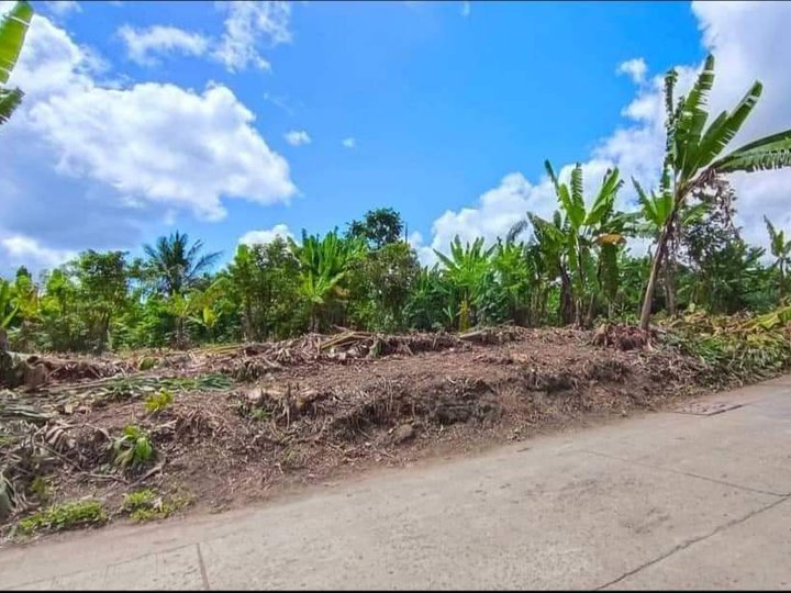 Residential Property Soon to Developed into subdivision