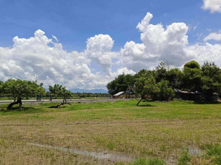 100sqm Residential Farm Lot for Sale in Trapiche Oton Iloilo