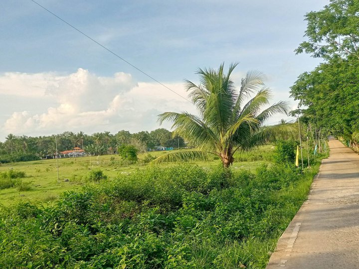 200 sqm Residential Farm For Sale in Poro Cebu