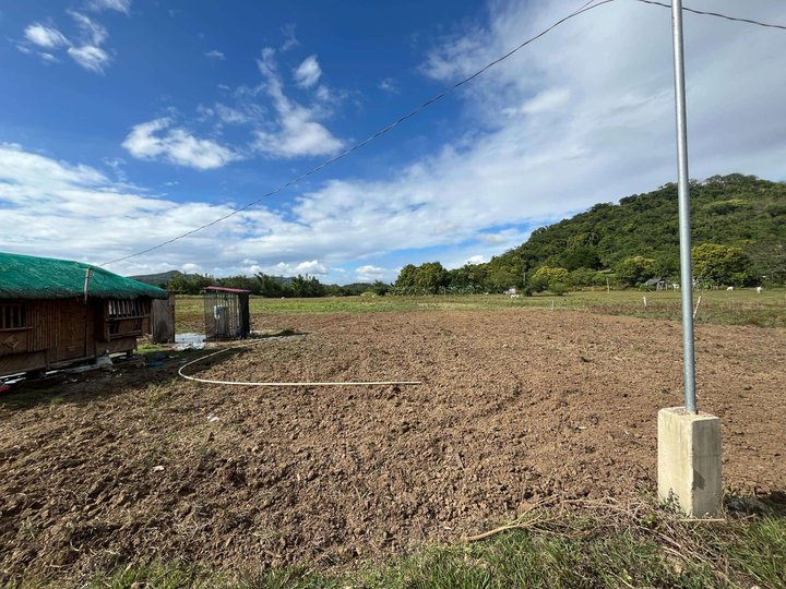 1,000 sqm Residential Farm For Sale in Nasugbu Batangas