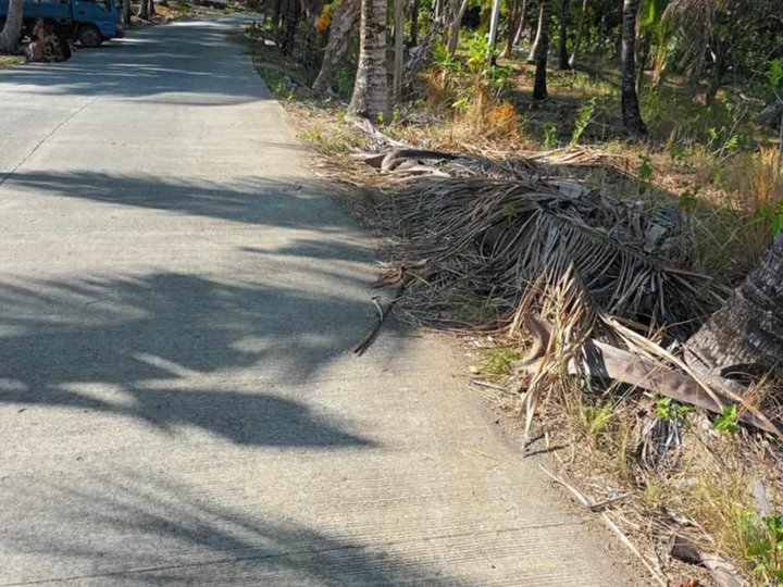 Titled lot Raw Land For Sale in Along brgy.roadTabogon Cebu