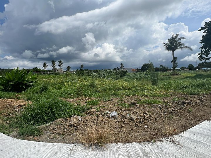 Open lot with Cement road already Silang Cavite