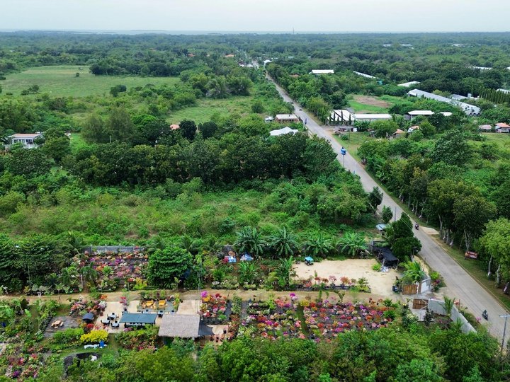 100 sqm Residential Lot For Sale Brgy. OBOOB,Bantayan Island Cebu