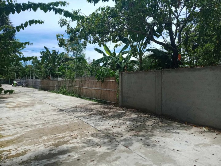 335 sqm Residential Lot For Sale in Lingayen Pangasinan