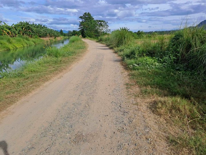 9,500 sqm Agricultural Farm For Sale in Rosales Pangasinan