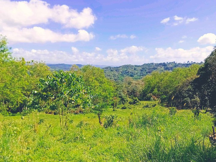 Affordable Titled lot for sale in Sampaloc Tanay Rizal