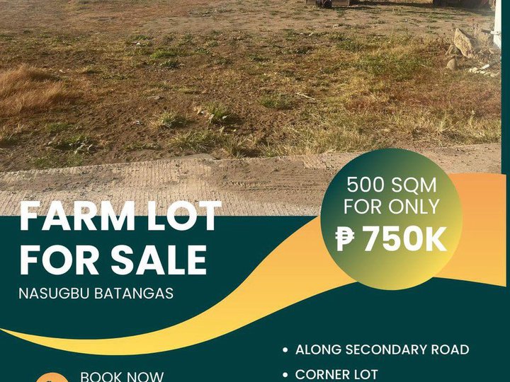500 sqm Agricultural Farm For Sale in Nasugbu Batangas