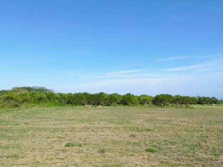 1,000 sqm Farm For Sale in Tiaong Quezon