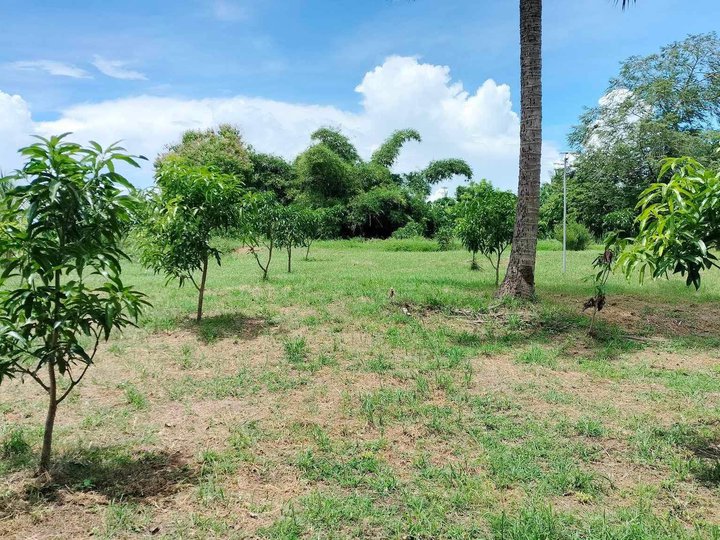 6,398 sqm Residential Farm For Sale in San Juan Batangas [Lot 🚜
