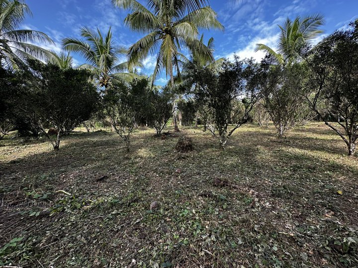 Farm Land Ideal for residential/Retirement in Tiaong-Dolores Quezon