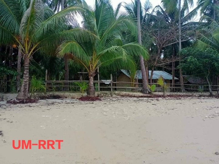 66114 sqm Beach Property For Sale in Palawan Philippines