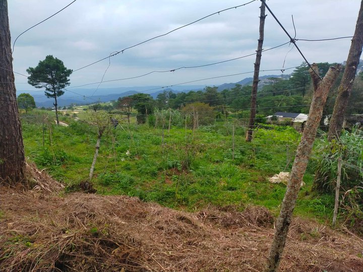 BAGUIO CITY LOT WITH OVERLOOKING VIEWS