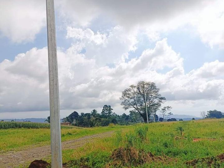 1000sqm Subdivided Lots for Sale at Claveria, Misamis Oriental