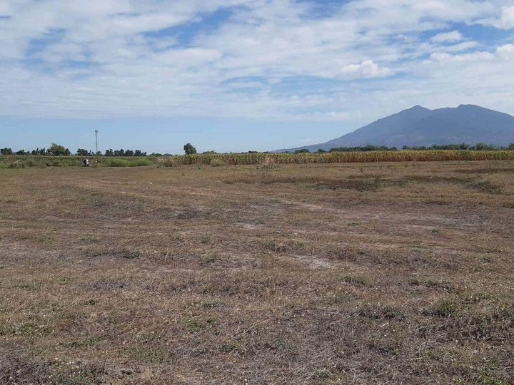 106371 sqm Residential Lot For Sale