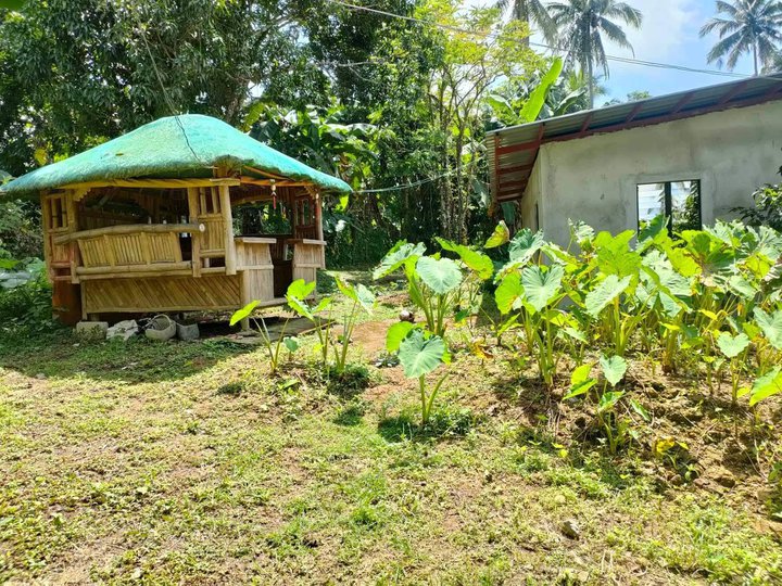 Very Affordable Farm Lot Gen. Emilio Aguinaldo Bailen Cavite