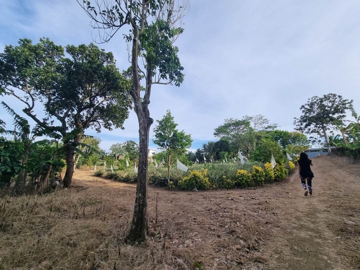 150 sqm Residential Farm For Sale in Silang Cavite [Lot 🚜] (May 2023