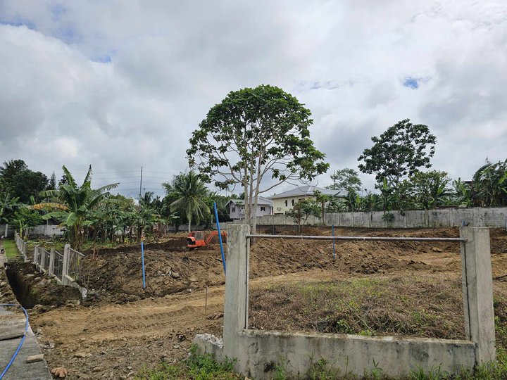 120sqm. Residential Lot in Amadeo-Tagaytay Cavite