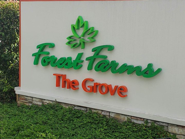 THE FOREST FARMS THE GROVE 2