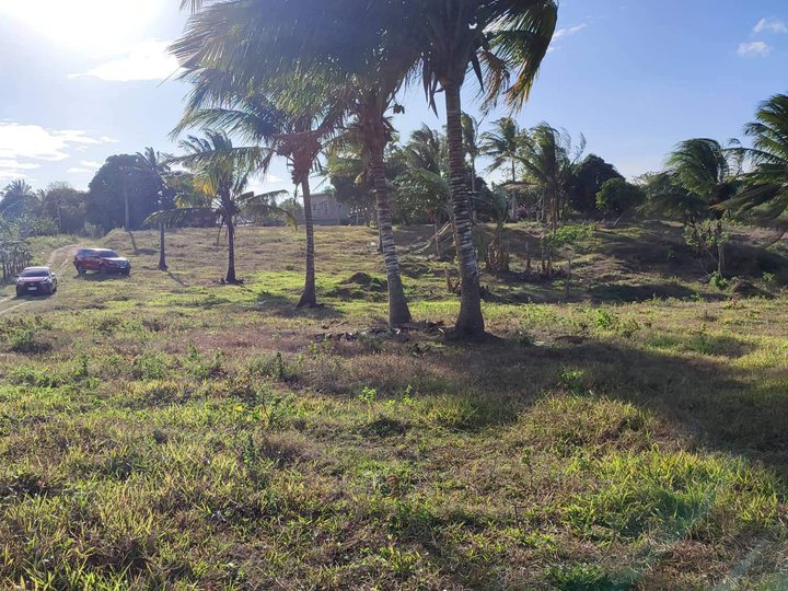 FARM LOT FOT SALE IN AMADEO CAVITE