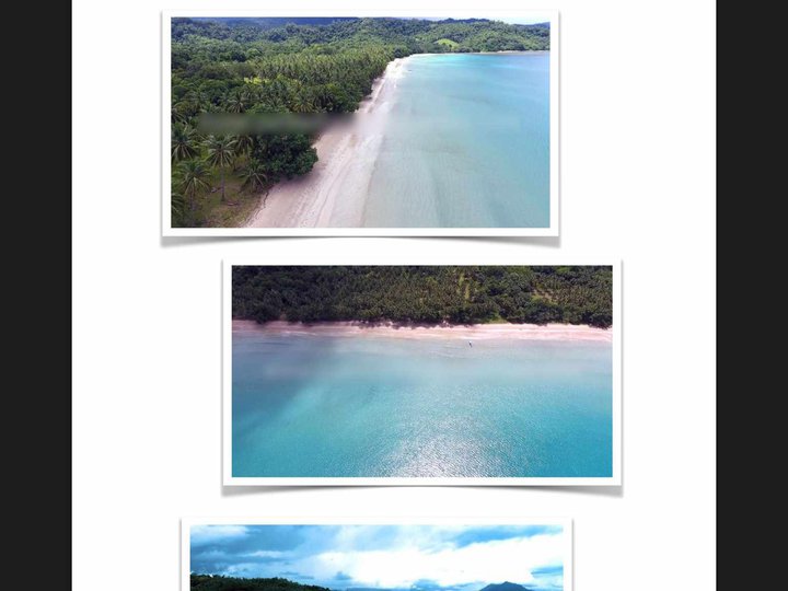 9,200 sqm Beach Property For Sale in Marufinas,Puerto Princesa Palawan
