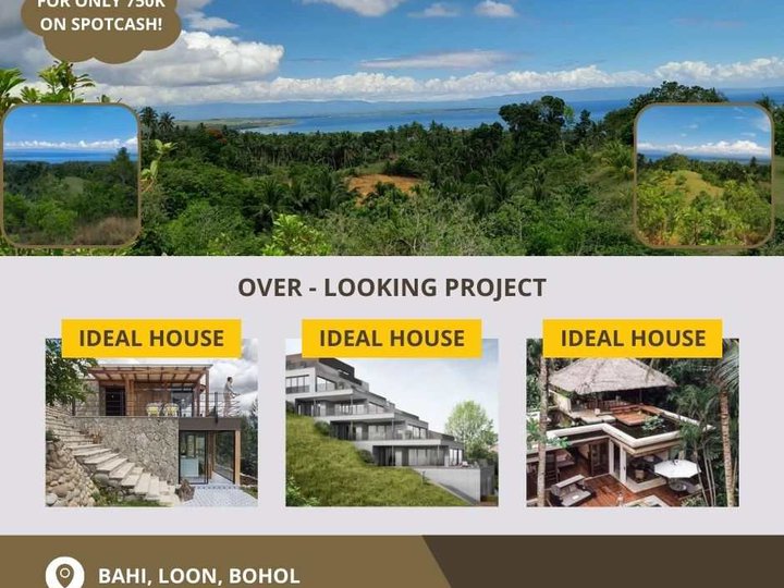 500 sqm Overlooking  Residential Farm For Sale in Loon Bohol