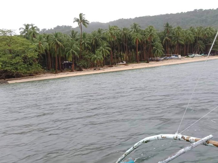 CADLAO ISLAND PORTION LOT FOR SALE EL NIDO, PALAWAN