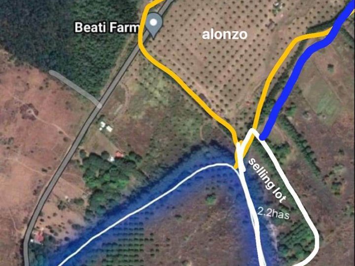 2.24 hectares Agricultural Farm For Sale in Iba Zambales