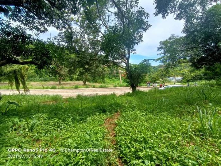 424 sqm Residential Lot For Sale in Antipolo Rizal/ No DP no interest
