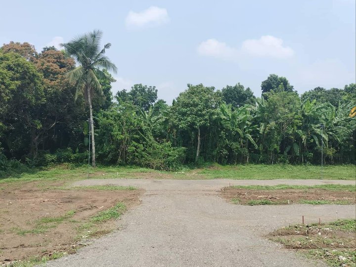 100 sqm COMMERCIAL AND RESIDENTIAL LOT FOR SALE IN LIPA CITY IN