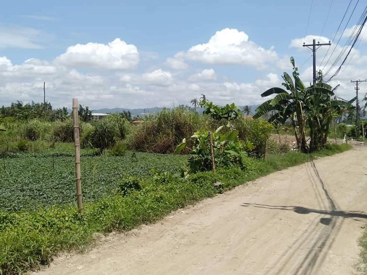 40sqm Commercial and Residential Lot for Sale in Basak Lapu Lapu City