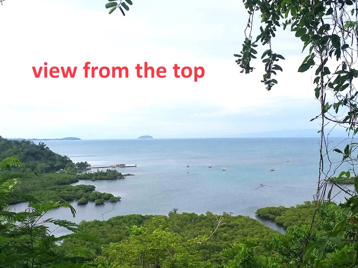 1.34 hectares Overlooking Seaview Lot for Sale in Ubay, Bohol