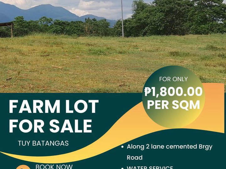 Residential Farm For Sale in Tuy Batangas