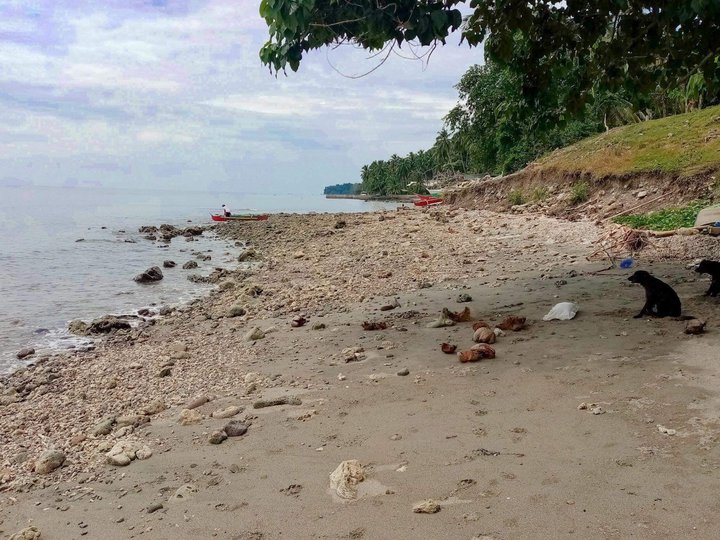 Samal Island Davao Beach Lot with 20 Meters Beach Frontage