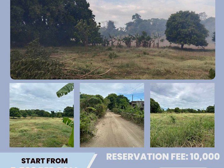 Residential Lot For Sale in Calatagan Batangas