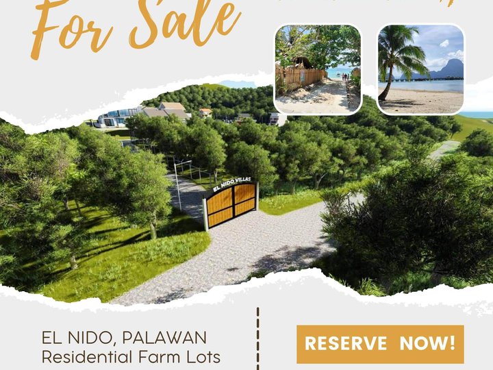 100 sqm Residential Farm For Sale in El Nido (Bacuit) Palawan