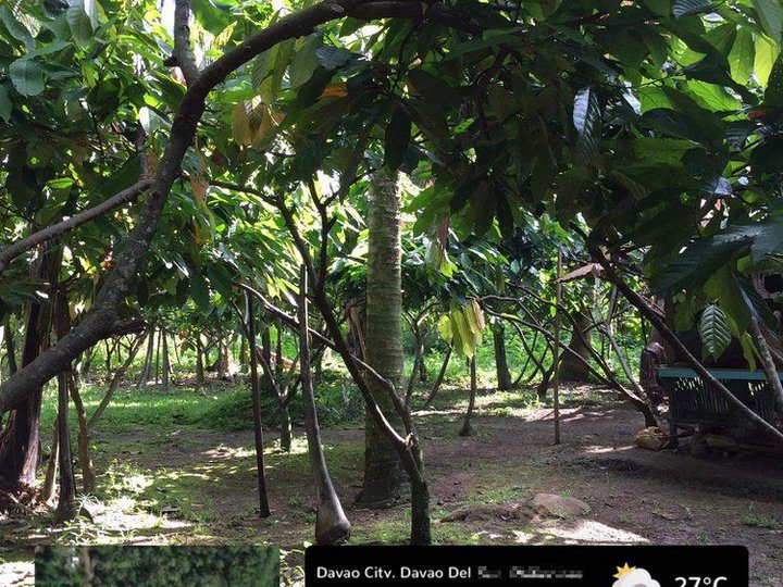 Farm Lot/Agricultural Land [Lots 🚜] (August 2025) in Davao City, Davao ...