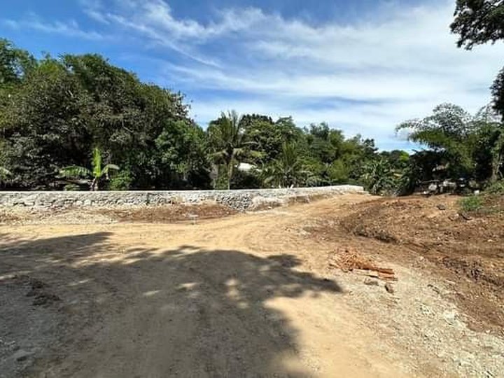 Commercial Lot For Sale in Antipolo Rizal