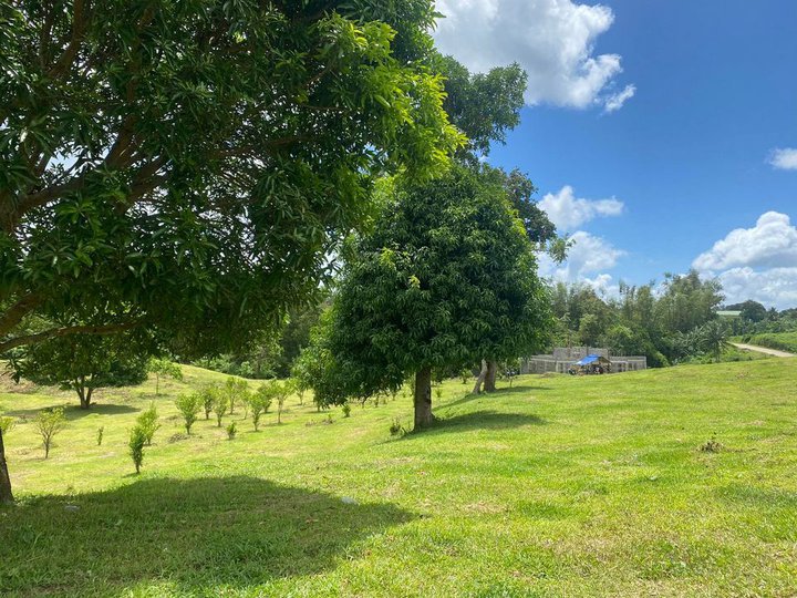 Affordable residential farm lot in silang cavite