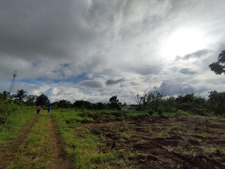 Residential farm lot sa Amadeo Cavite